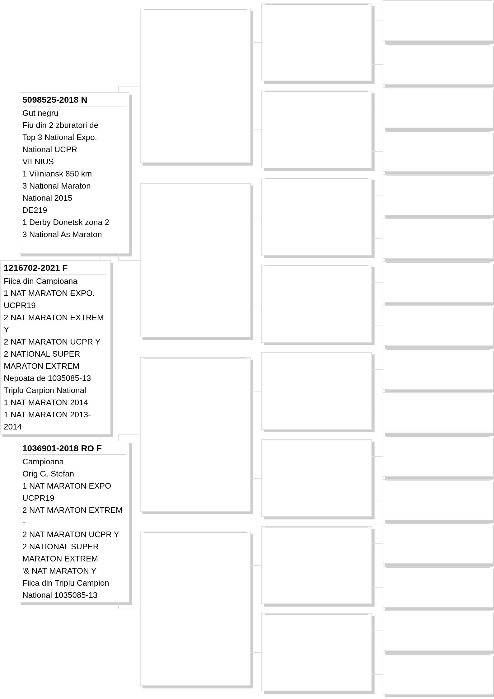 1216702-2021 F Pedigree