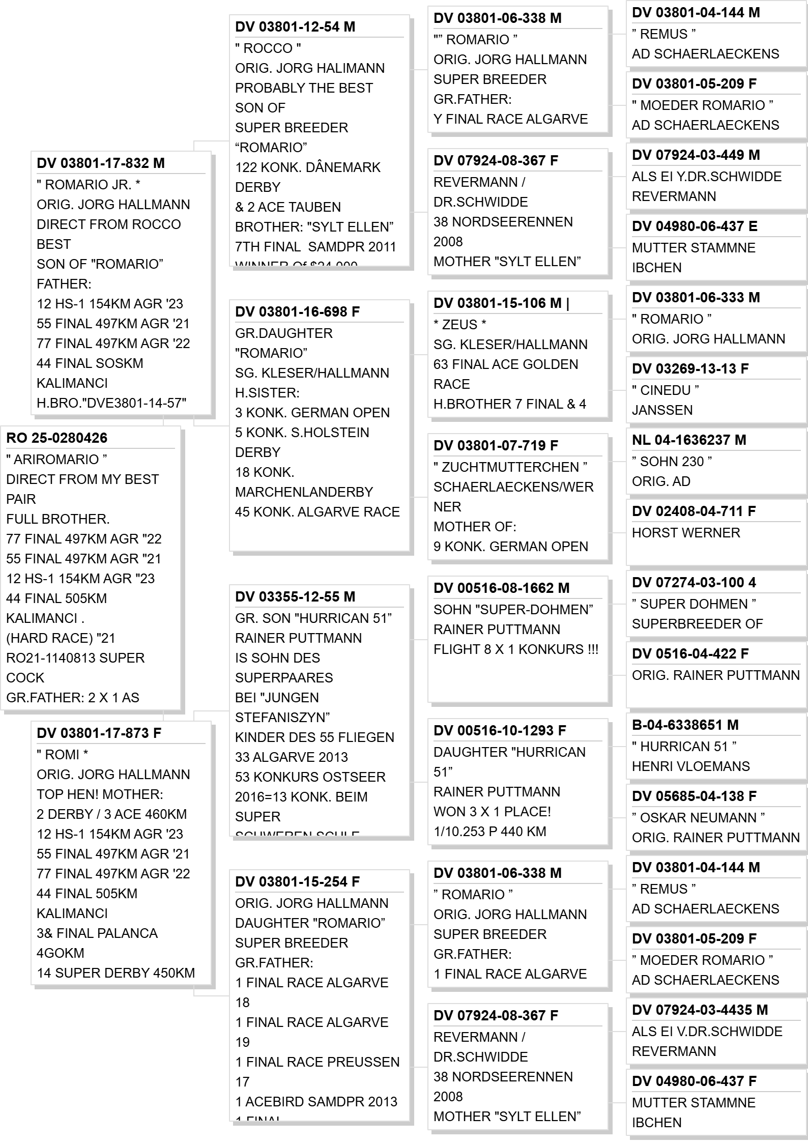 RO 25-0280426 Pedigree