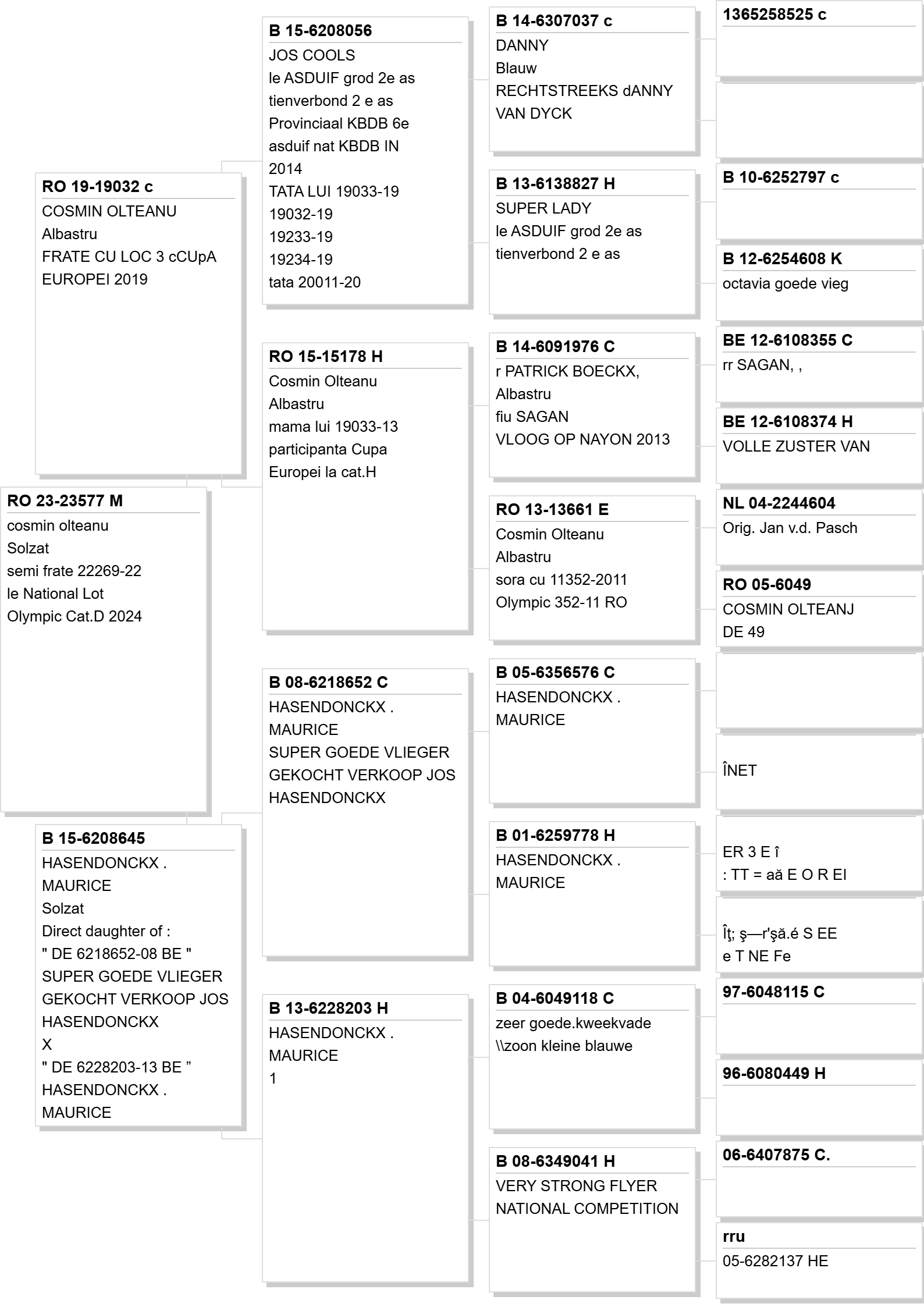 RO 23-23577 Pedigree