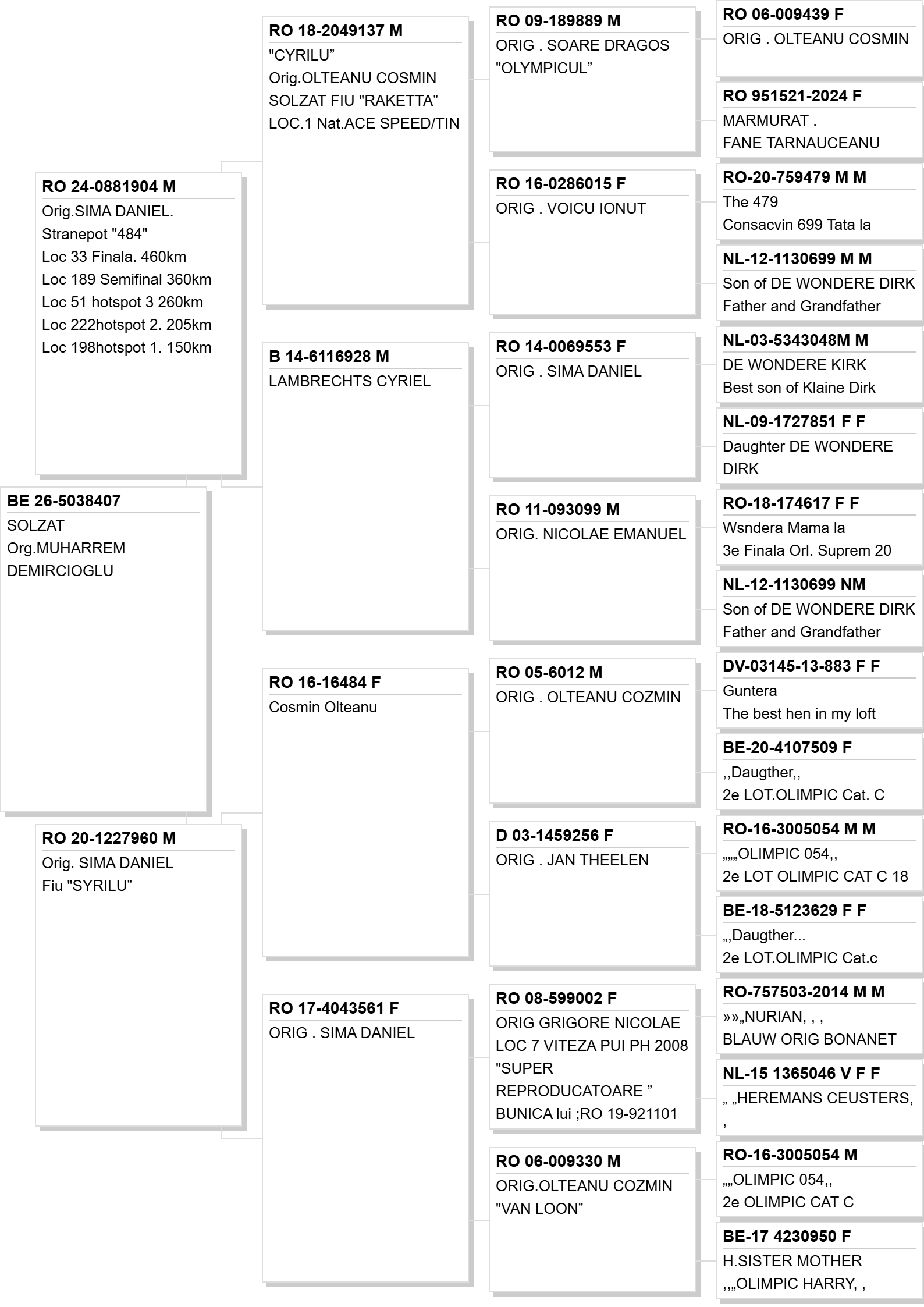 BE 26-5038407 Pedigree